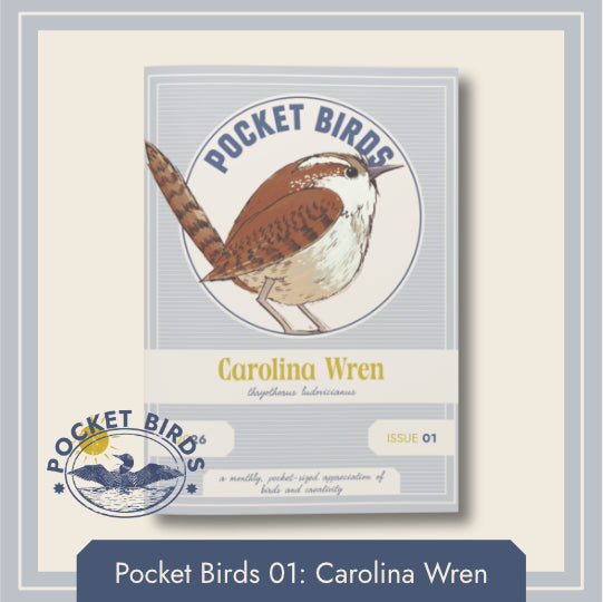 Pocket Birds 01: Carolina Wren